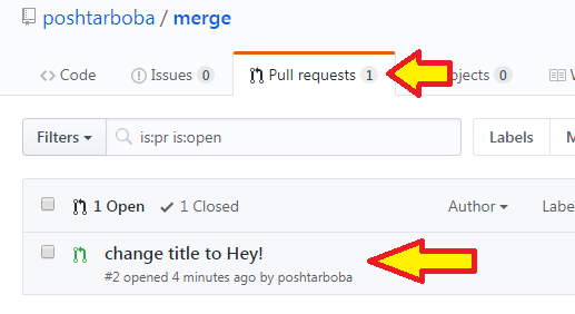 New pull request